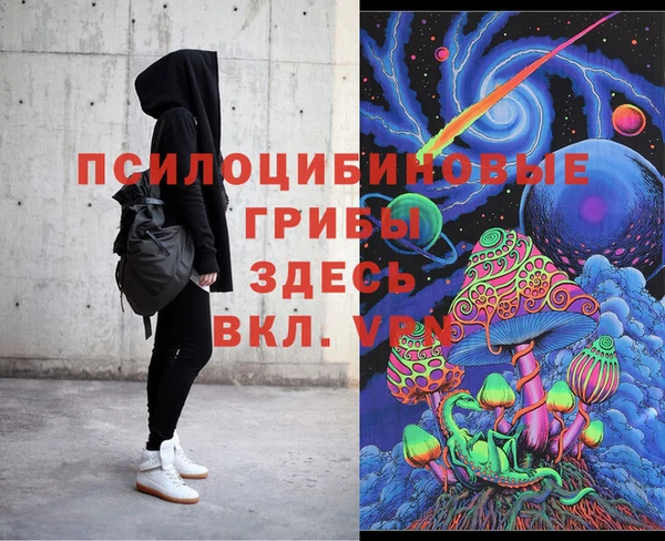 спиды Арсеньев