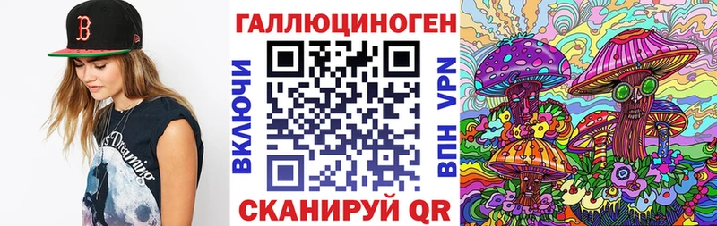 магазин  наркотиков  кракен зеркало  Псилоцибиновые грибы Cubensis  Серафимович 